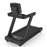 Treadmill - EnduRun 2.0 - New