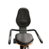 Recumbent bike - RB Pro